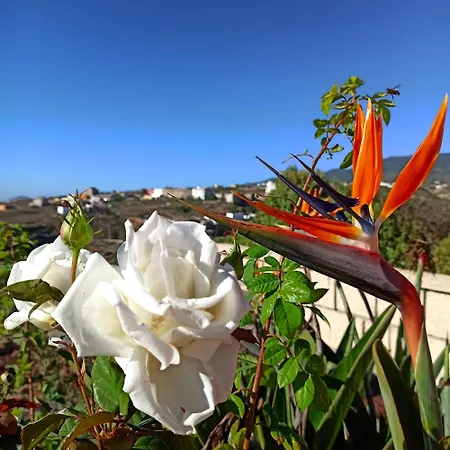アパート Casa Tamara 1 - Quiet Flat With Pool Great View Of The Mountains And The Sea *