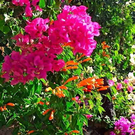 Apartamento Casa Tamara 1 - Quiet Flat With Pool Great View Of The Mountains And The Sea