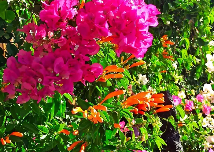 公寓 Casa Tamara 1 - Quiet Flat With Pool Great View Of The Mountains And The Sea