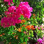 Apartment Casa Tamara 1 - Quiet Flat With Pool Great View Of The Mountains And The Sea